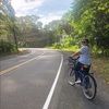 jkb_tiger31